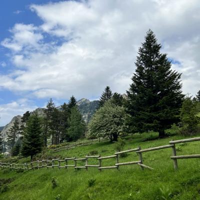 Occitanie Rando Randonnee Itinerante Tour Du Canigou Et Vallespir 31