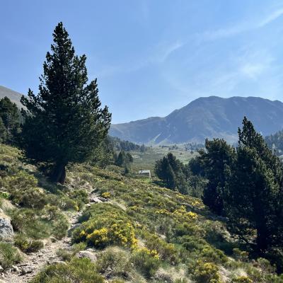 Occitanie Rando Randonnee Itinerante Tour Du Canigou Et Vallespir 76