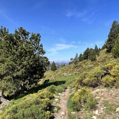 Occitanie Rando Randonnee Itinerante Tour Du Canigou Et Vallespir 82