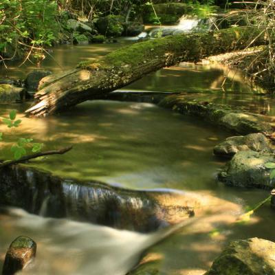 Occitanie Rando Rando Herault Haut Languedoc Lunas Laval De Nize 03