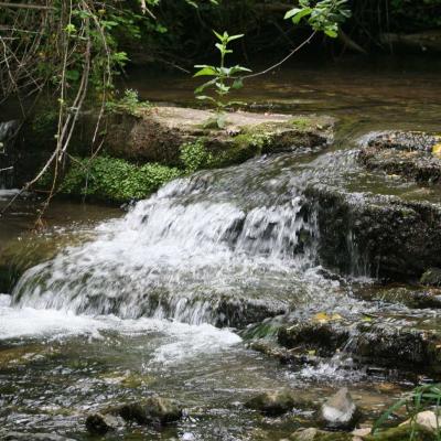 Occitanie Rando Rando Herault Haut Languedoc Lunas Laval De Nize 09