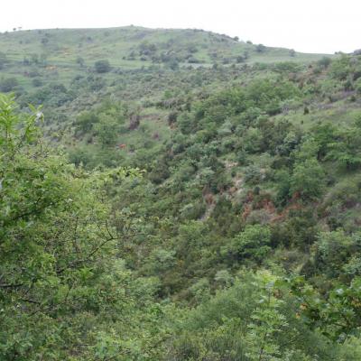 Occitanie Rando Rando Herault Haut Languedoc Lunas Laval De Nize 10
