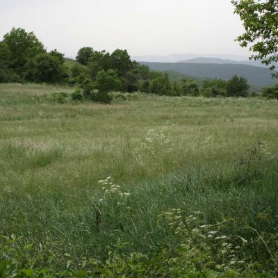 Occitanie Rando Rando Herault Haut Languedoc Lunas Laval De Nize 11