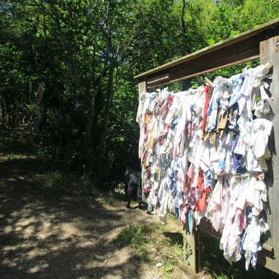 Occitanie Rando Rando Herault Haut Languedoc Lunas Laval De Nize 15