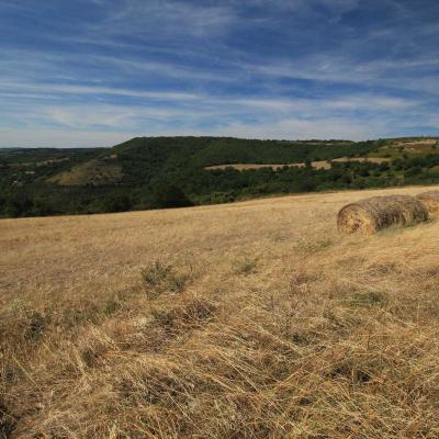 Occitanie Rando Rando Herault Haut Languedoc Lunas Laval De Nize 17