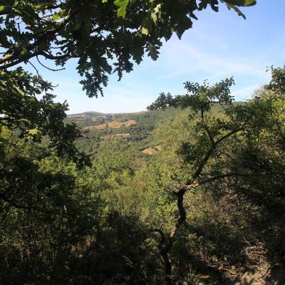 Occitanie Rando Rando Herault Haut Languedoc Lunas Laval De Nize 18