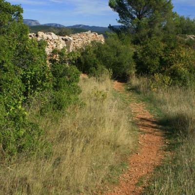 Occitanie Rando Rando Herault Haut Languedoc Saint Chinian Notre Dame De Nazareth 04