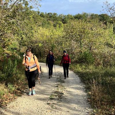 Occitanie Rando Herault Haut Languedoc Joncels Acheologique Gr Pays 04