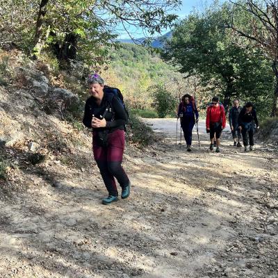 Occitanie Rando Herault Haut Languedoc Joncels Acheologique Gr Pays 08