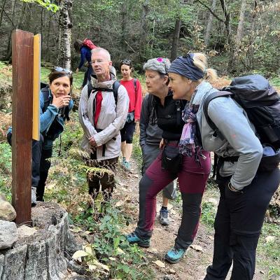 Occitanie Rando Herault Haut Languedoc Joncels Acheologique Gr Pays 10
