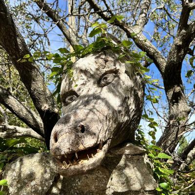 Occitanie Rando Herault Haut Languedoc Joncels Acheologique Gr Pays 29