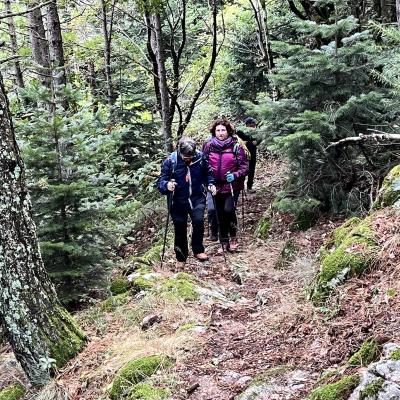 Occitanie Rando Foire Pommes Oignons Vigan 03