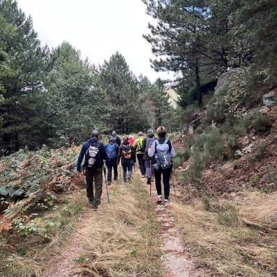 Occitanie Rando Foire Pommes Oignons Vigan 14
