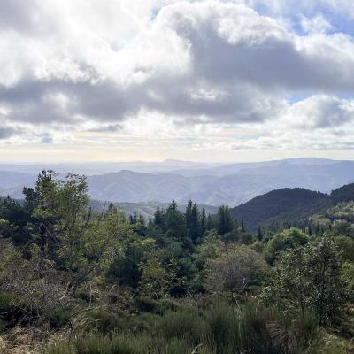 Occitanie Rando Foire Pommes Oignons Vigan 16