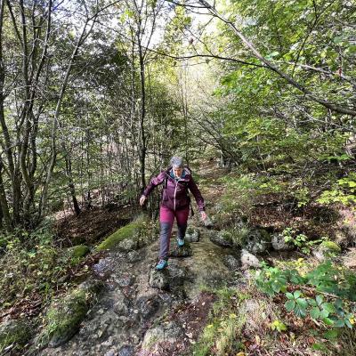 Occitanie Rando Foire Pommes Oignons Vigan 22