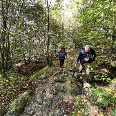 Occitanie Rando Foire Pommes Oignons Vigan 25