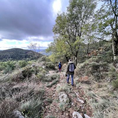 Occitanie Rando Foire Pommes Oignons Vigan 30