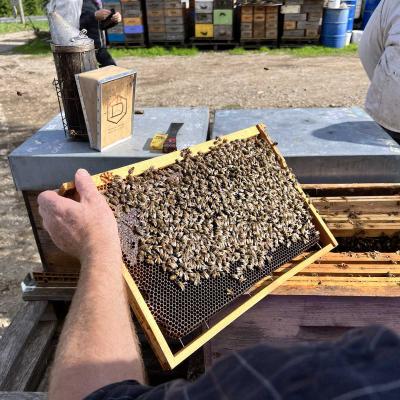 Occitanie Rando Foire Pommes Oignons Vigan 45