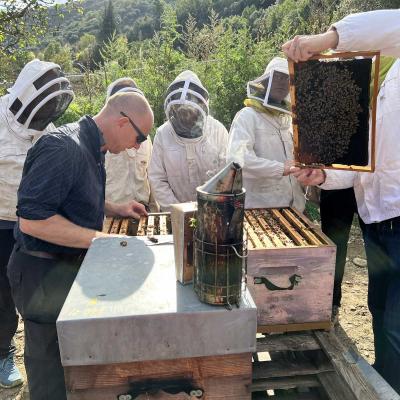 Occitanie Rando Foire Pommes Oignons Vigan 51