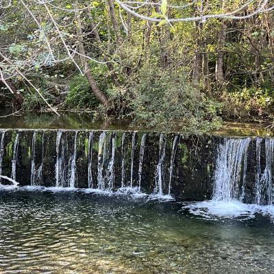 Occitanie Rando Foire Pommes Oignons Vigan 53