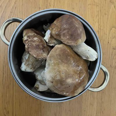 Occitanie Rando Foire Pommes Oignons Vigan 65d