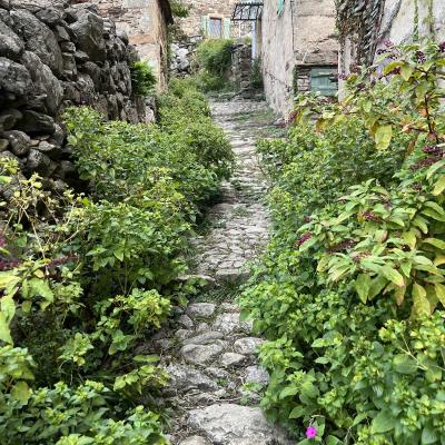 Occitanie Trekking Herault Roc Caroux Aiguilles Saint Martin De Larcon 04