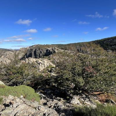 Occitanie Trekking Herault Roc Caroux Aiguilles Saint Martin De Larcon 100