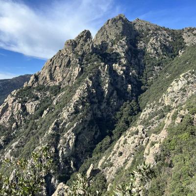 Occitanie Trekking Herault Roc Caroux Aiguilles Saint Martin De Larcon 132