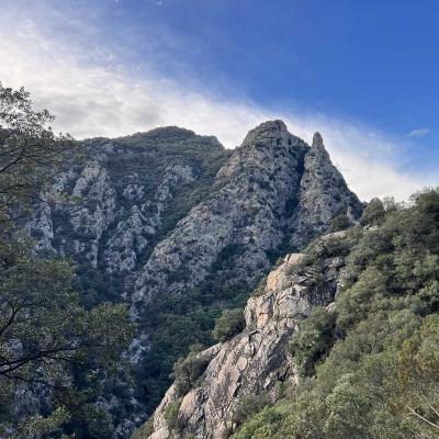 Occitanie Trekking Herault Roc Caroux Aiguilles Saint Martin De Larcon 133