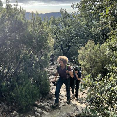 Occitanie Trekking Herault Roc Caroux Aiguilles Saint Martin De Larcon 45