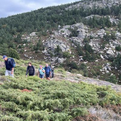 Occitanie Trekking Herault Roc Caroux Aiguilles Saint Martin De Larcon 80