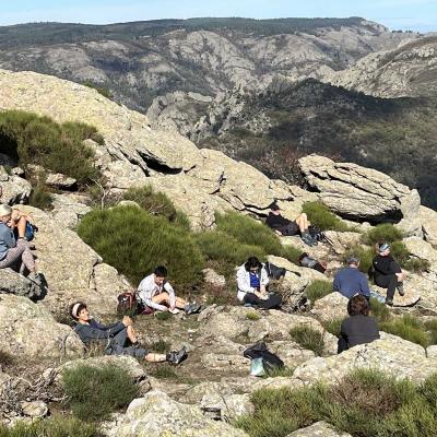Occitanie Trekking Herault Roc Caroux Aiguilles Saint Martin De Larcon 99