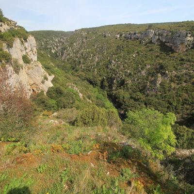 Occitanie Rando Herault Haut Languedoc Cesseras Font Galine 03