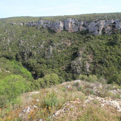 Occitanie Rando Herault Haut Languedoc Cesseras Font Galine 04