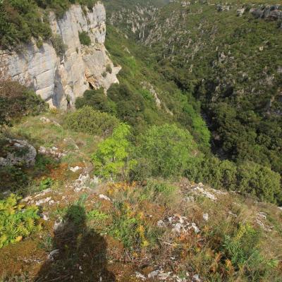 Occitanie Rando Herault Haut Languedoc Cesseras Font Galine 06