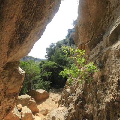 Occitanie Rando Herault Haut Languedoc Cesseras Font Galine 08
