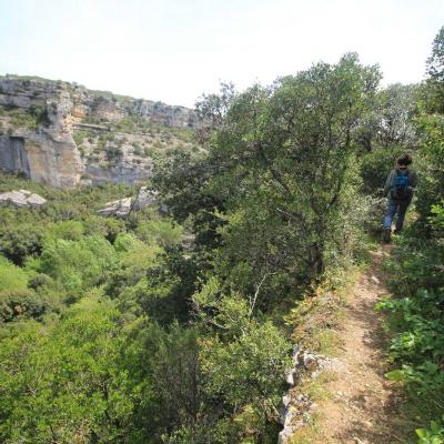 Occitanie Rando Herault Haut Languedoc Cesseras Font Galine 15