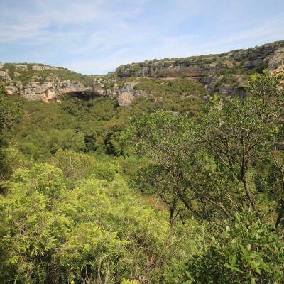 Occitanie Rando Herault Haut Languedoc Cesseras Font Galine 16