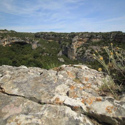Occitanie Rando Herault Haut Languedoc Cesseras Font Galine 18