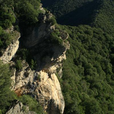 Occitanie Rando Herault Haut Languedoc Vieussan Tour Du Pin 01