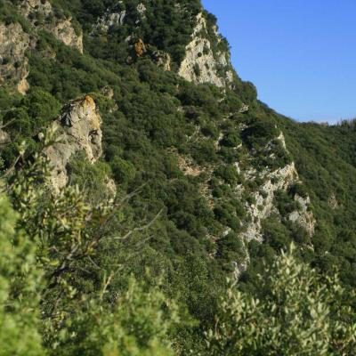 Occitanie Rando Herault Haut Languedoc Vieussan Tour Du Pin 02
