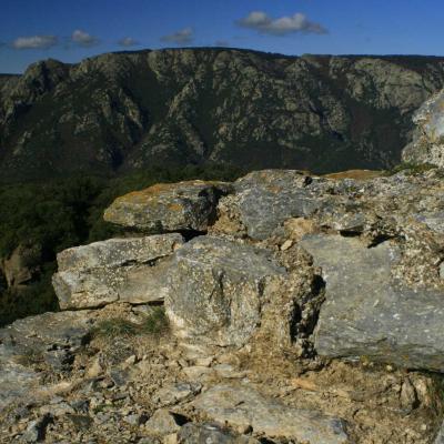 Occitanie Rando Herault Haut Languedoc Vieussan Tour Du Pin 03