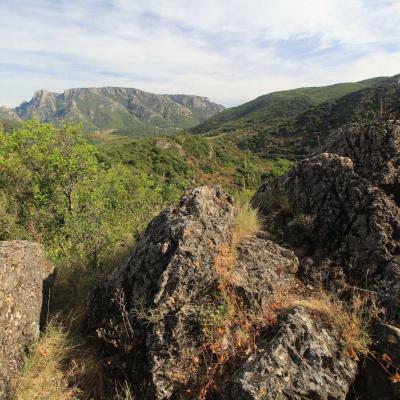 Occitanie Rando Herault Haut Languedoc Vieussan Tour Du Pin 05