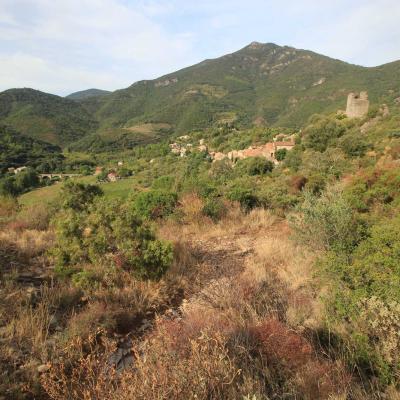 Occitanie Rando Herault Haut Languedoc Vieussan Tour Du Pin 06