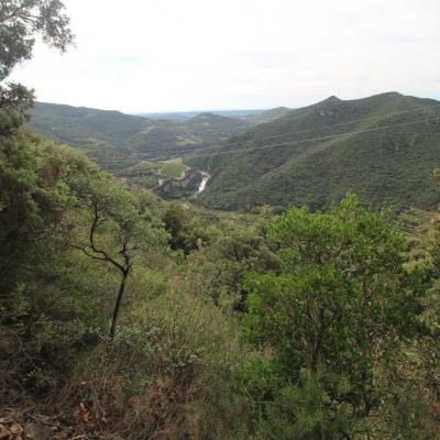 Occitanie Rando Herault Haut Languedoc Vieussan Tour Du Pin 09