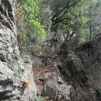 Occitanie Rando Herault Haut Languedoc Vieussan Tour Du Pin 10