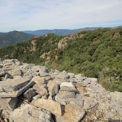 Occitanie Rando Herault Haut Languedoc Vieussan Tour Du Pin 11