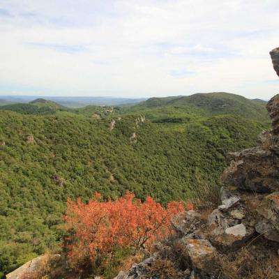 Occitanie Rando Herault Haut Languedoc Vieussan Tour Du Pin 13