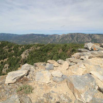 Occitanie Rando Herault Haut Languedoc Vieussan Tour Du Pin 15