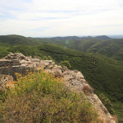 Occitanie Rando Herault Haut Languedoc Vieussan Tour Du Pin 17